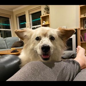 Meet your Posher, Lisa